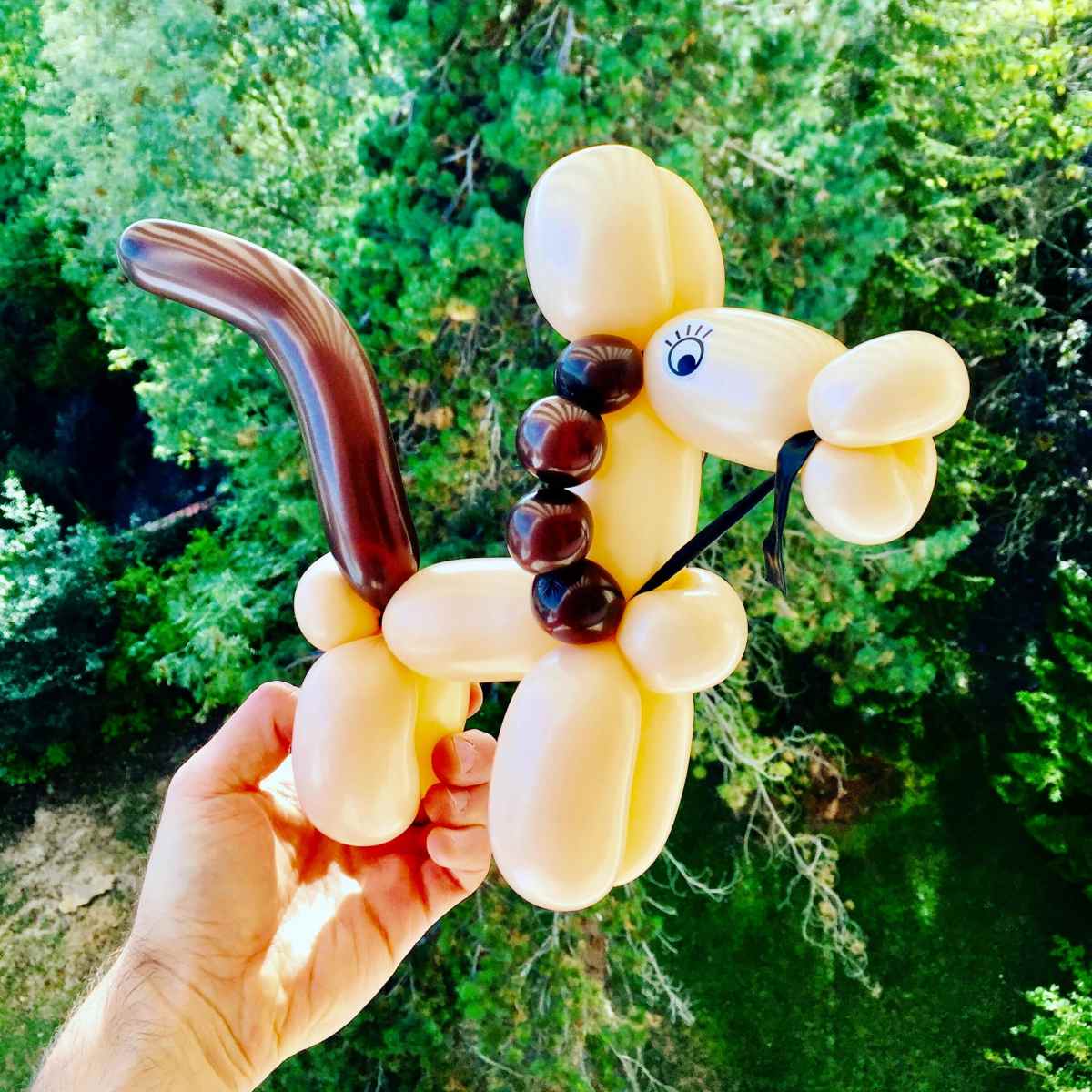 LA FERME A&nbsp;BALLON