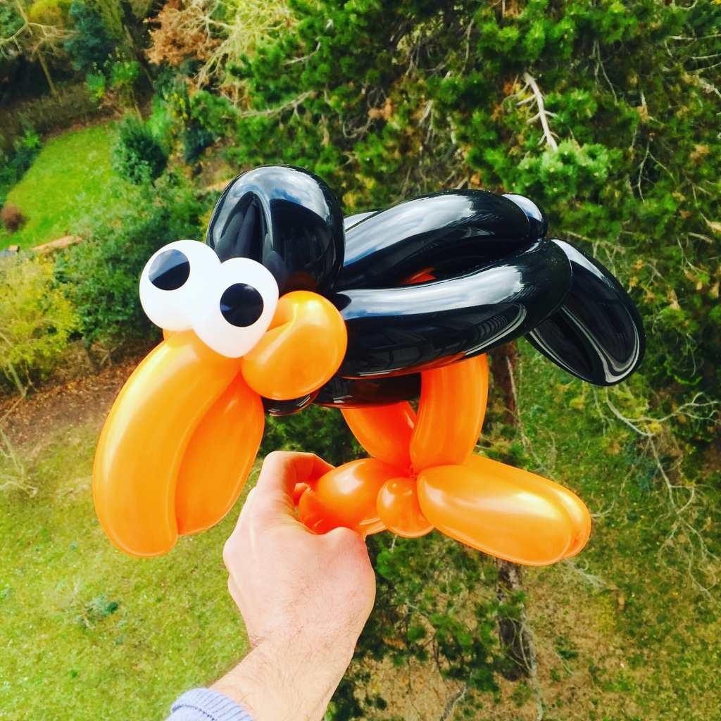 sculpteur sculpture ballon paris idf 78 corbeau