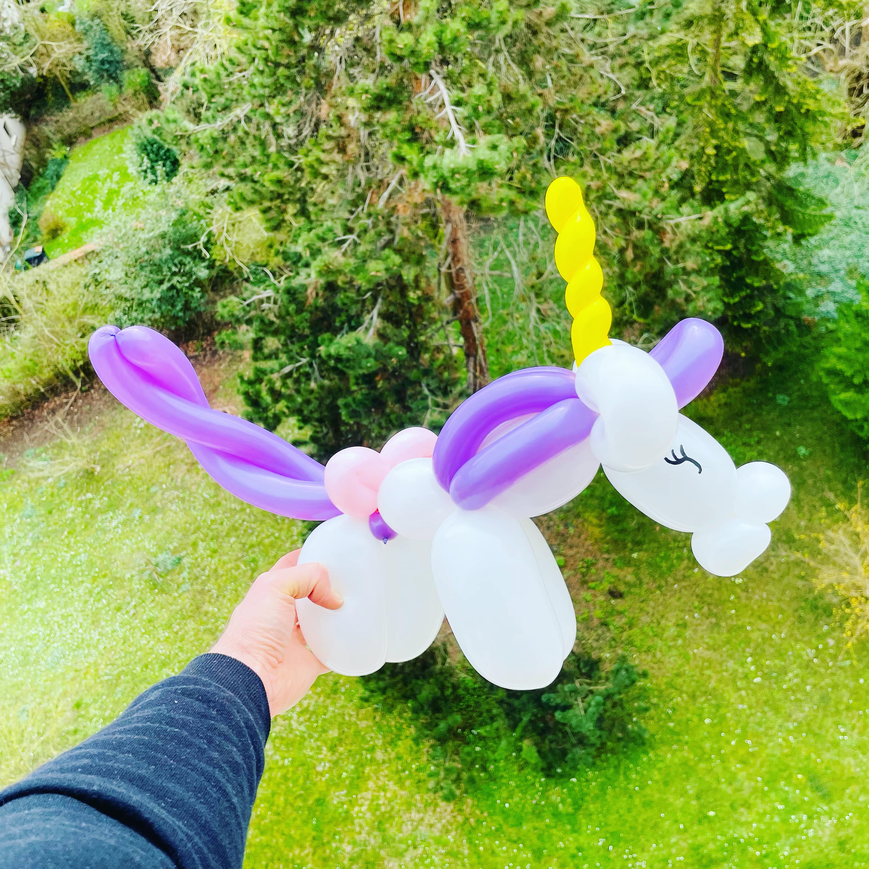 sculpture ballon paris idf licorne magique