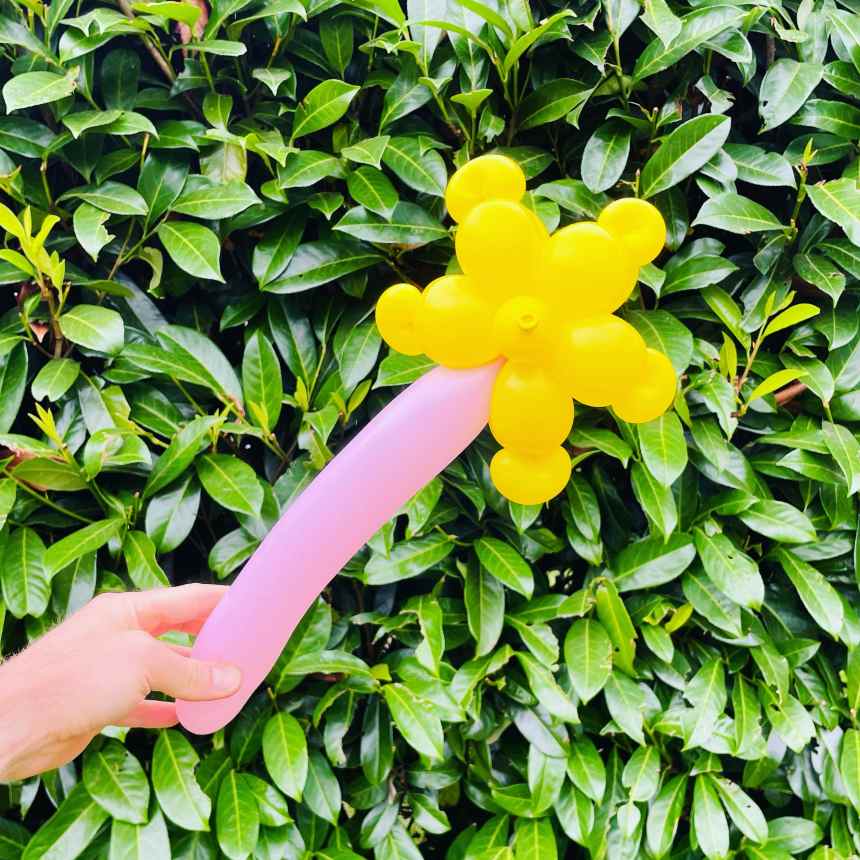 sculpteur de ballon paris idf baguette magique etoile